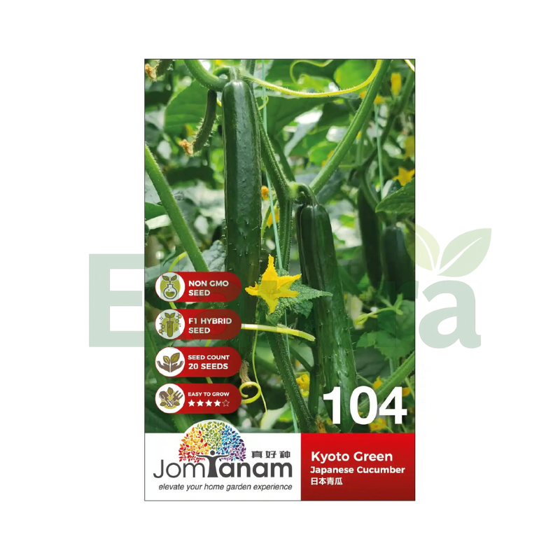 104 JAPANESE CUCUMBER